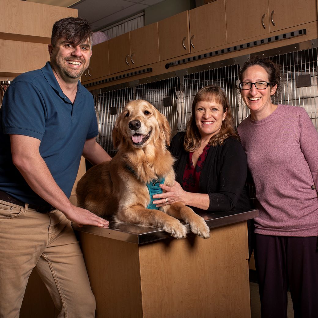 Veterinarians revive ER service after Thrive hospital closes